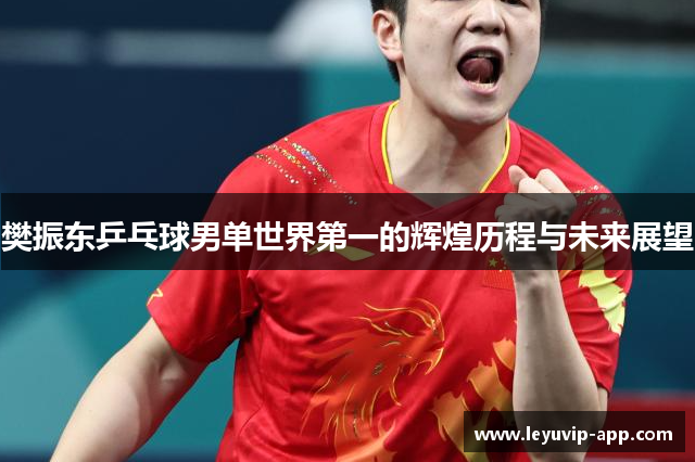 樊振东乒乓球男单世界第一的辉煌历程与未来展望