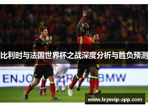 比利时与法国世界杯之战深度分析与胜负预测