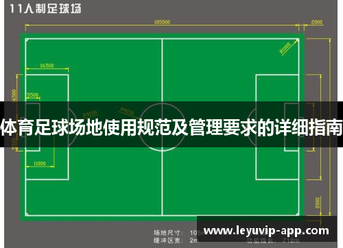 体育足球场地使用规范及管理要求的详细指南