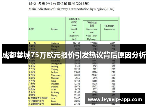 成都蓉城75万欧元报价引发热议背后原因分析