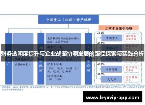 财务透明度提升与企业战略协调发展的路径探索与实践分析