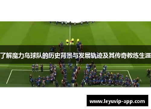 了解魔力鸟球队的历史背景与发展轨迹及其传奇教练生涯