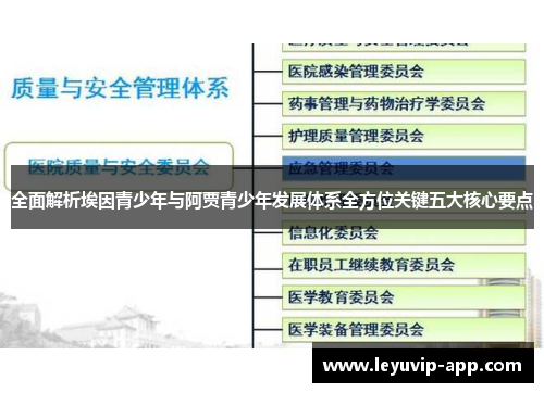 全面解析埃因青少年与阿贾青少年发展体系全方位关键五大核心要点